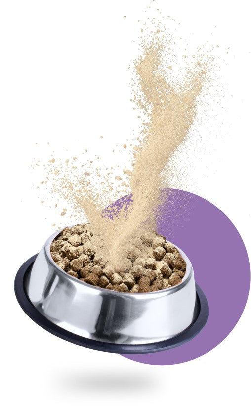 Ready in seconds!